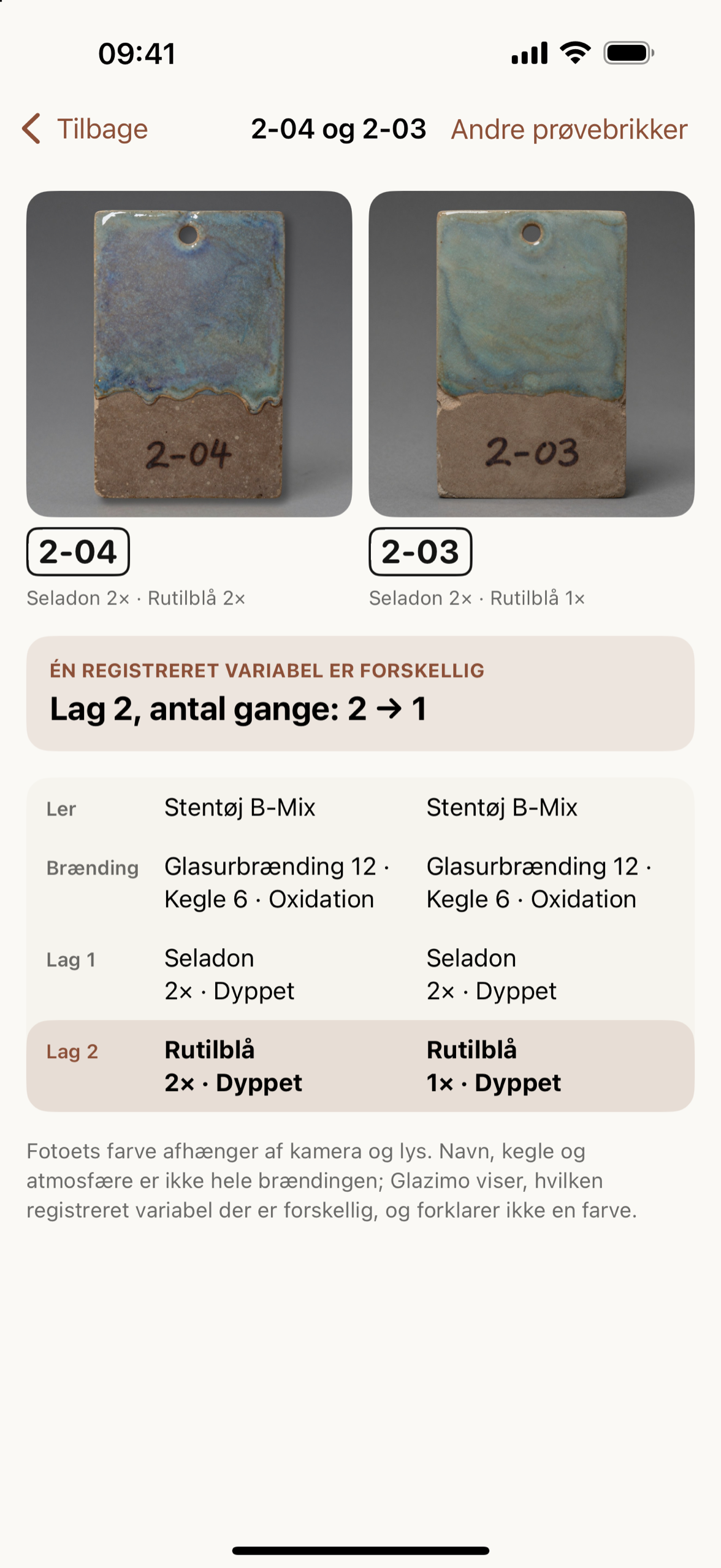 Prøvebrikkerne 2-04 og 2-03 med én noteret forskel
